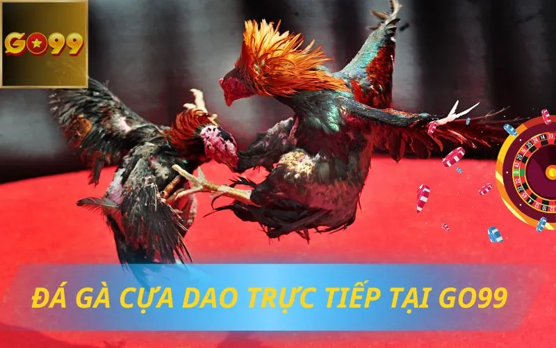 Đá gà cựa dao trực tuyến Go99